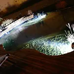 住宿加早餐酒店 La Bigourd'in